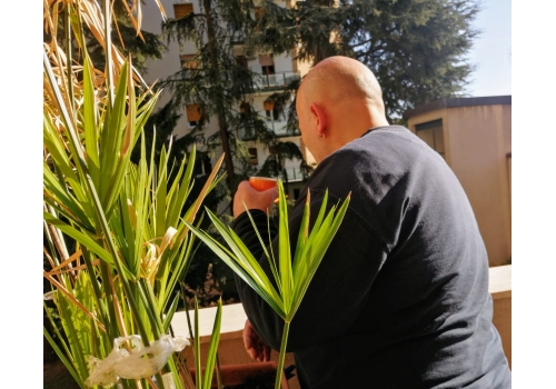 saffi balcone